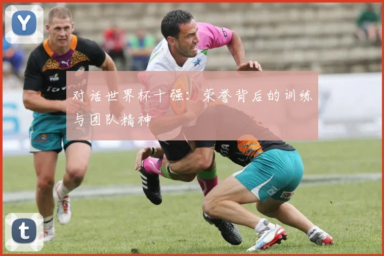 对话世界杯十强：荣誉背后的训练与团队精神